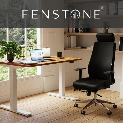 Reclining Office Chairs from Fenstone