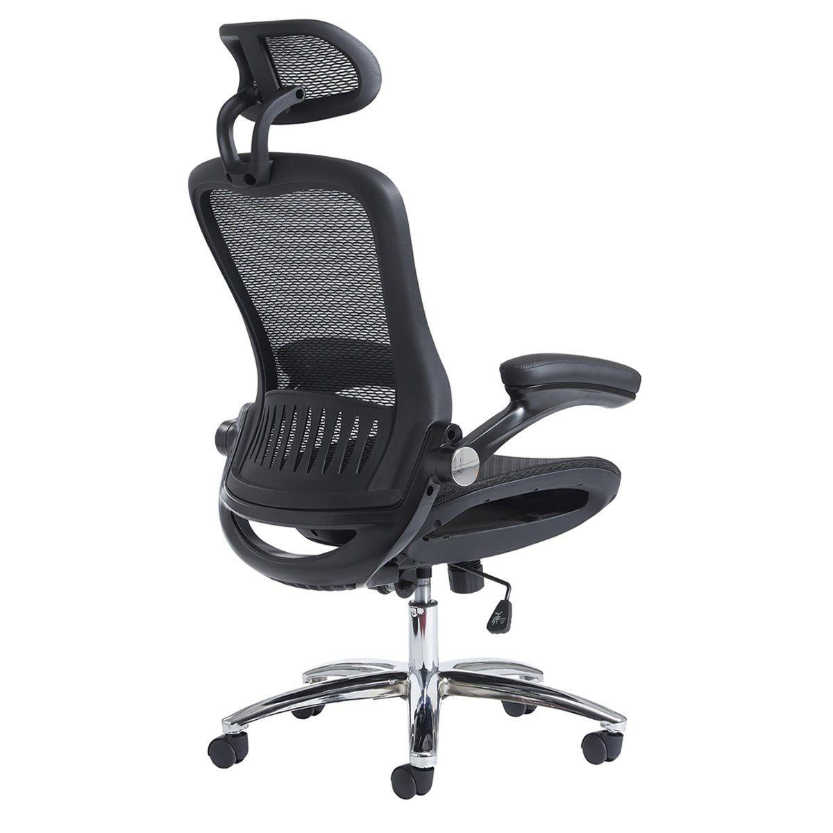 Curve Ergonomic Mesh Office Chair